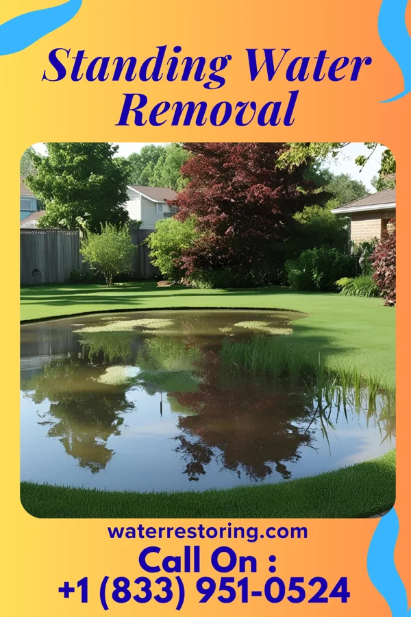 Standing Water Removal in Tescott, KS